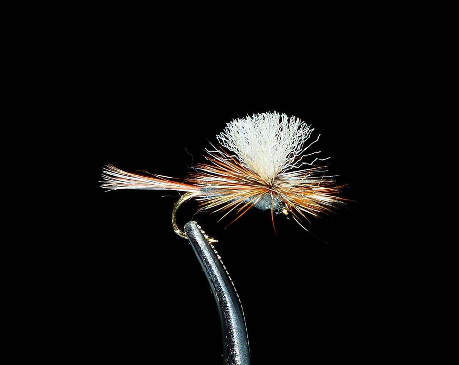 Mayfly Assortment