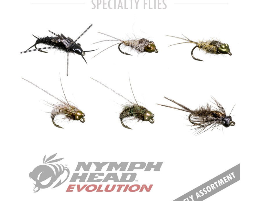 Nymph-Head Evolution (6 pack)
