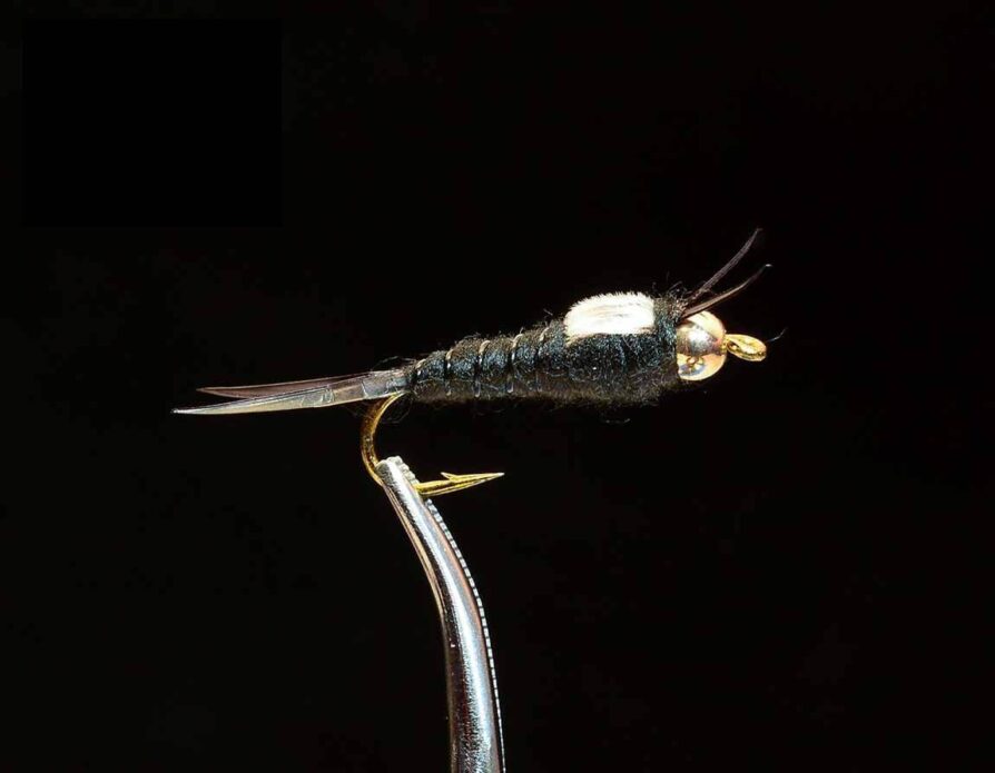 Beadhead Biot Stonefly