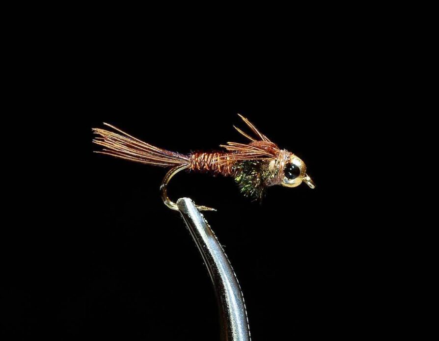 Beadhead Pheasant Tail Nymph